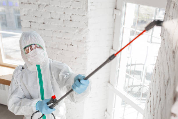 Best Commercial Mold Inspection  in The Crossings, FL