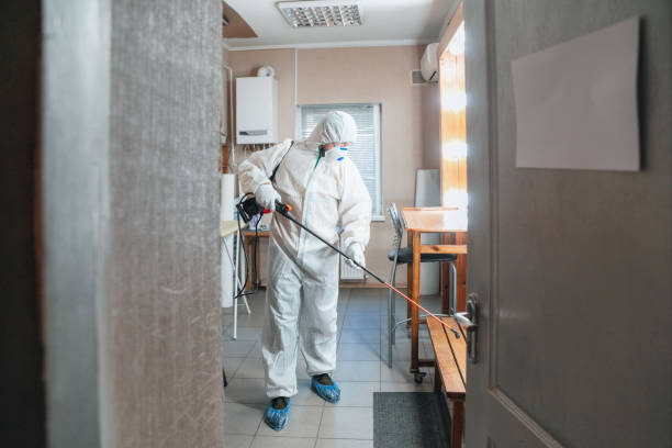 Best Industrial Mold Remediation  in The Crossings, FL