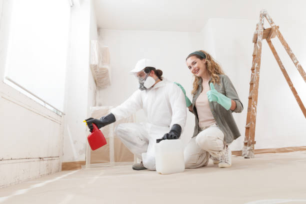 Best Mold Odor Removal Services  in The Crossings, FL