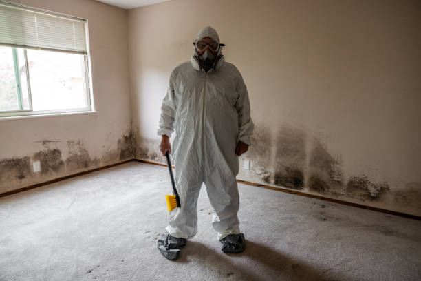 Best Water Damage & Mold Remediation  in The Crossings, FL